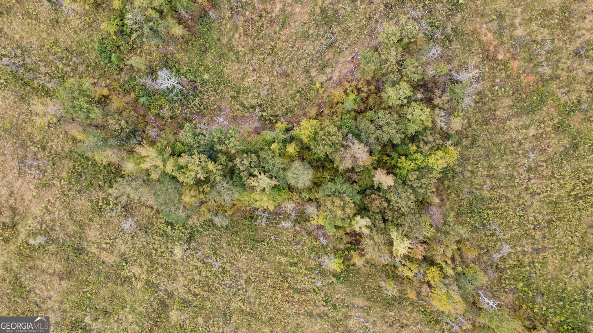 1 New Hope Vesta Road Carlton, GA 30627 - Photo 28 of 36