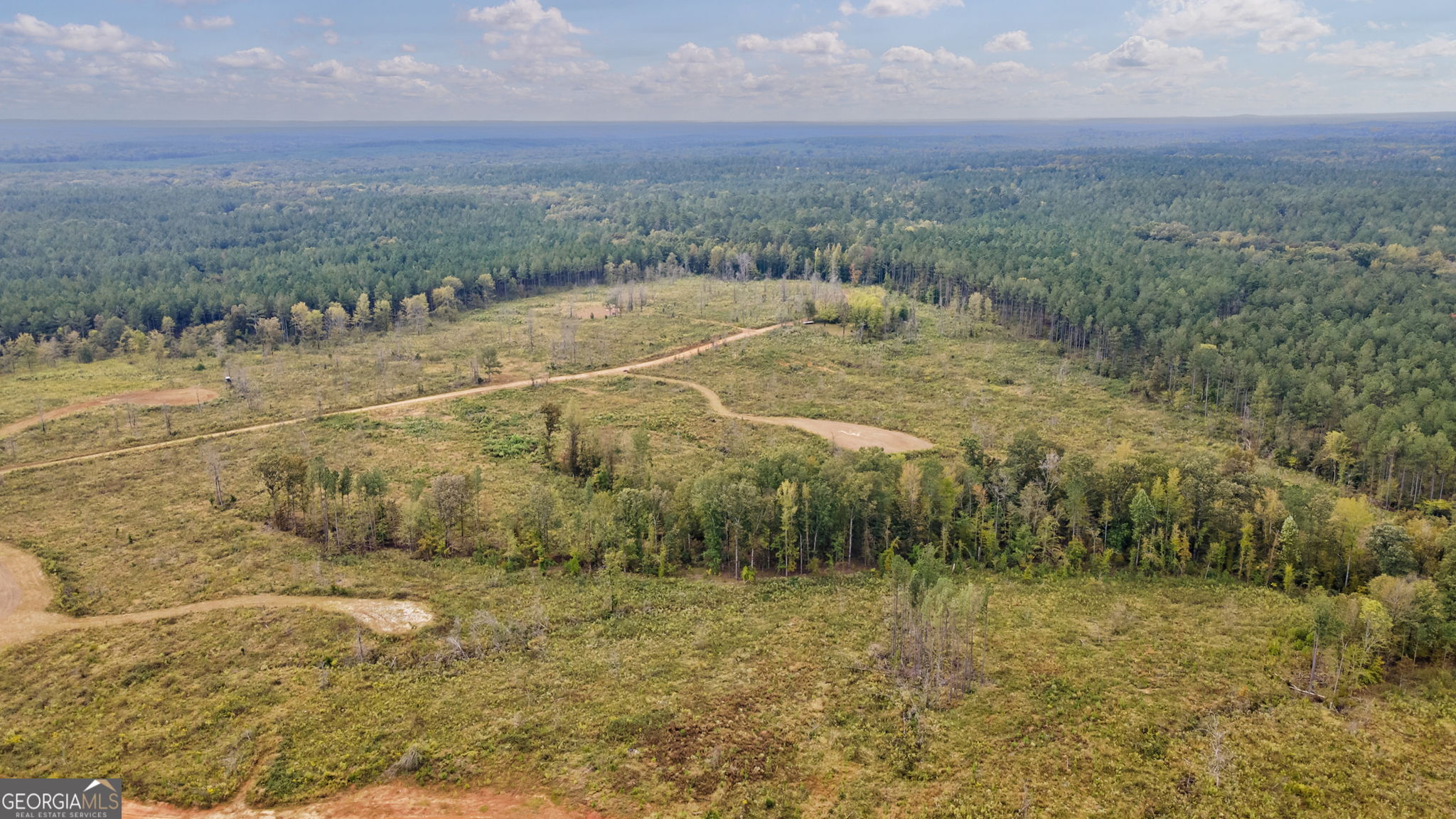1 New Hope Vesta Road Carlton, GA 30627 - Photo 29 of 36