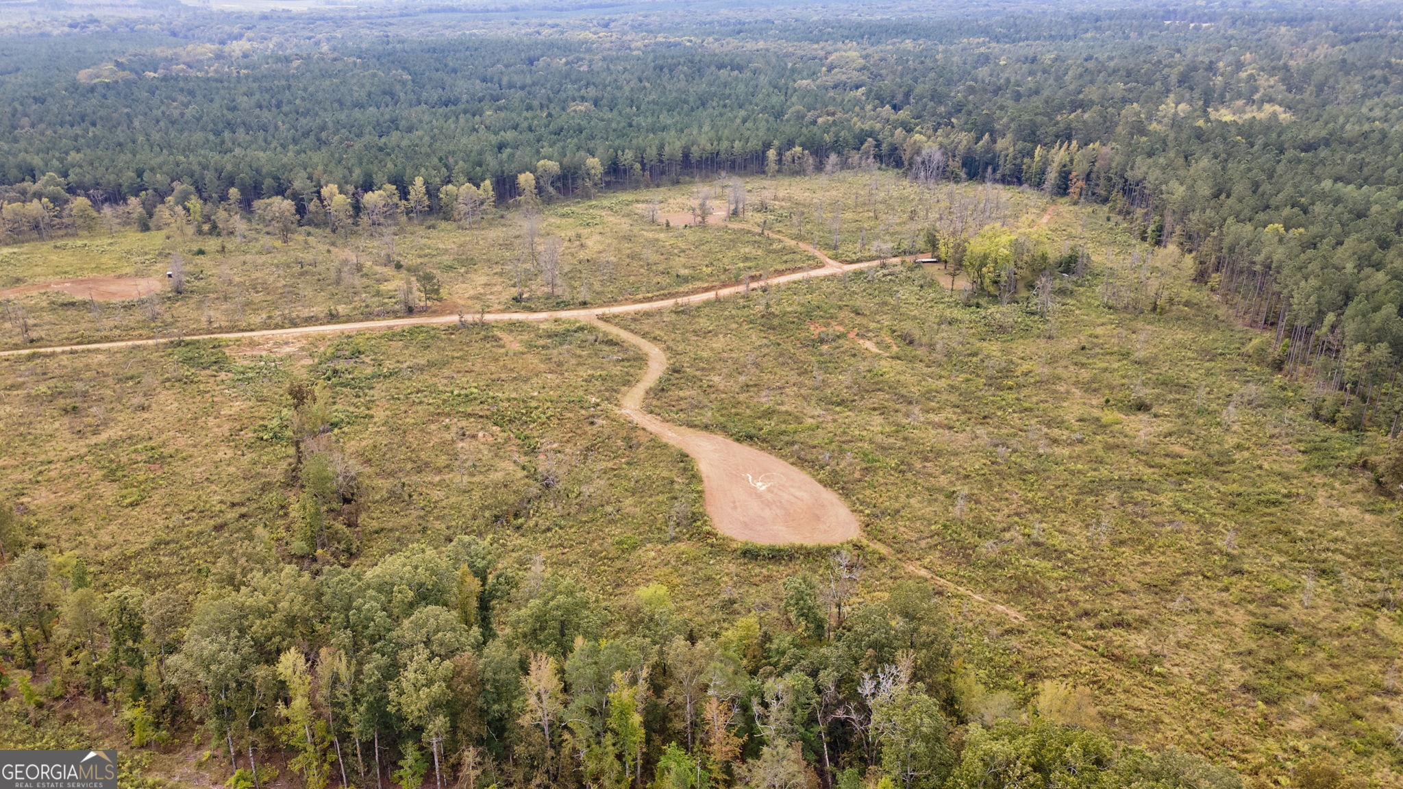 1 New Hope Vesta Road Carlton, GA 30627 - Photo 30 of 36 a view of a water pond
