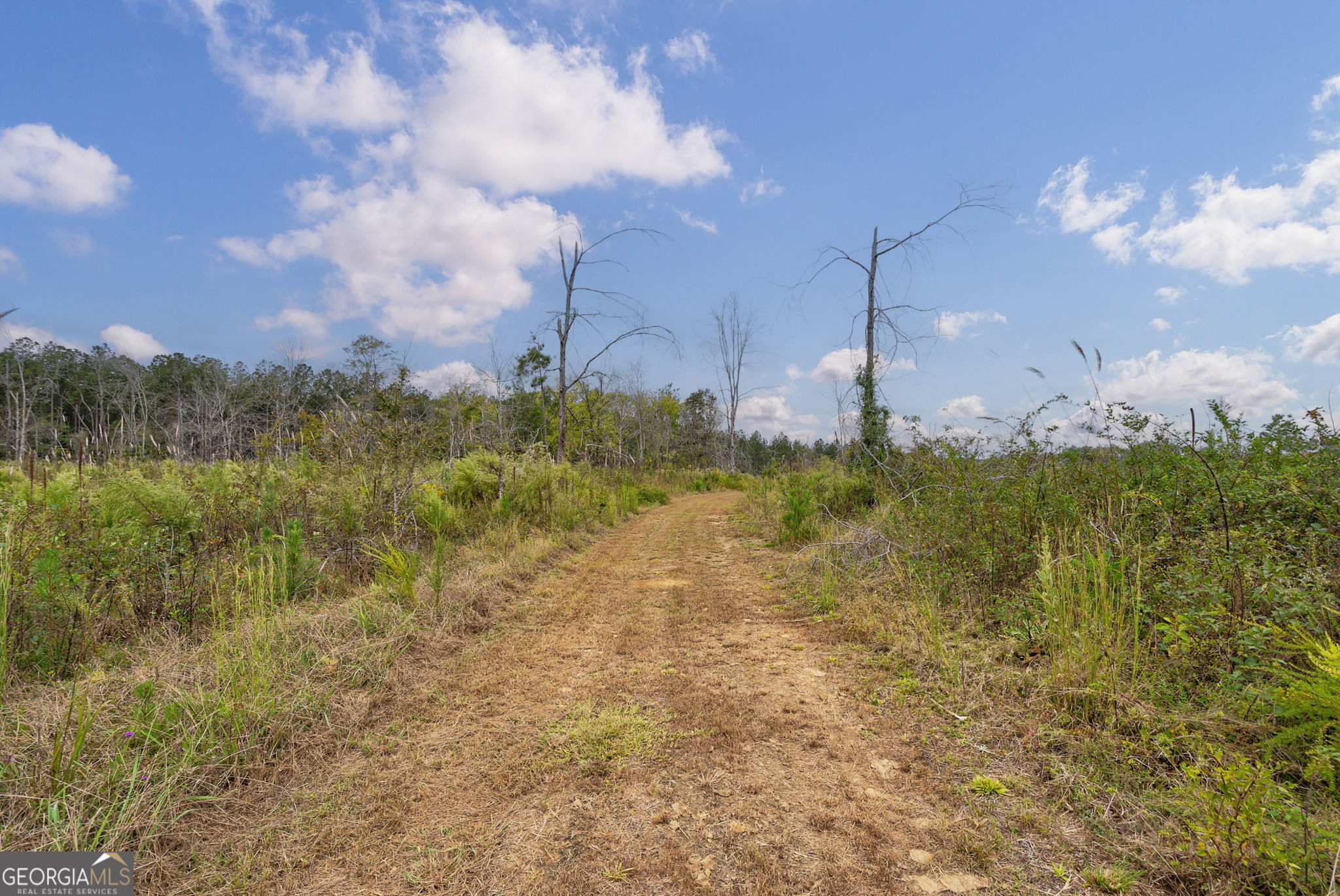 1 New Hope Vesta Road Carlton, GA 30627 - Photo 31 of 36 a view of a lake with houses in the back