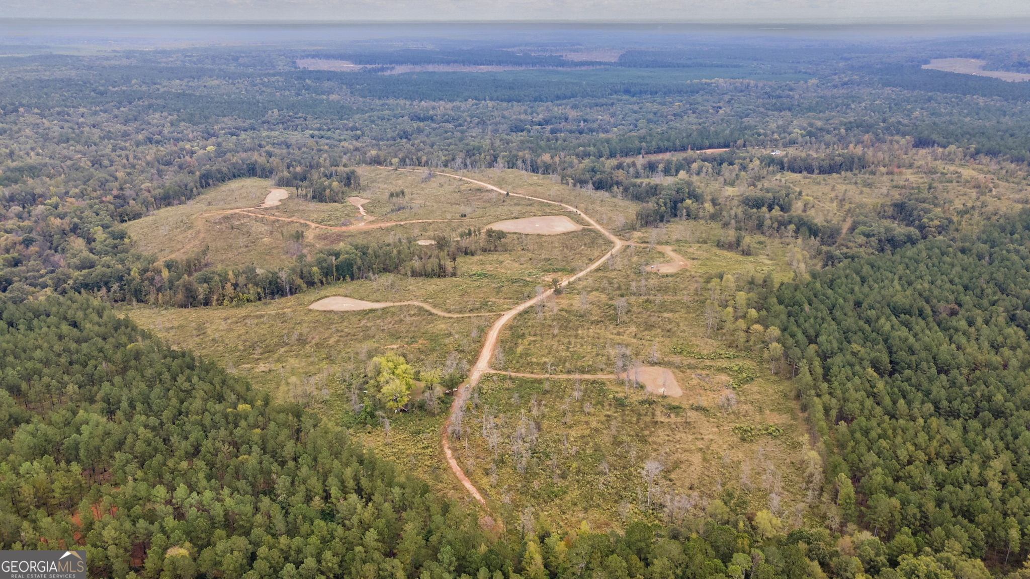 1 New Hope Vesta Road Carlton, GA 30627 - Photo 33 of 36 a view of a dry yard