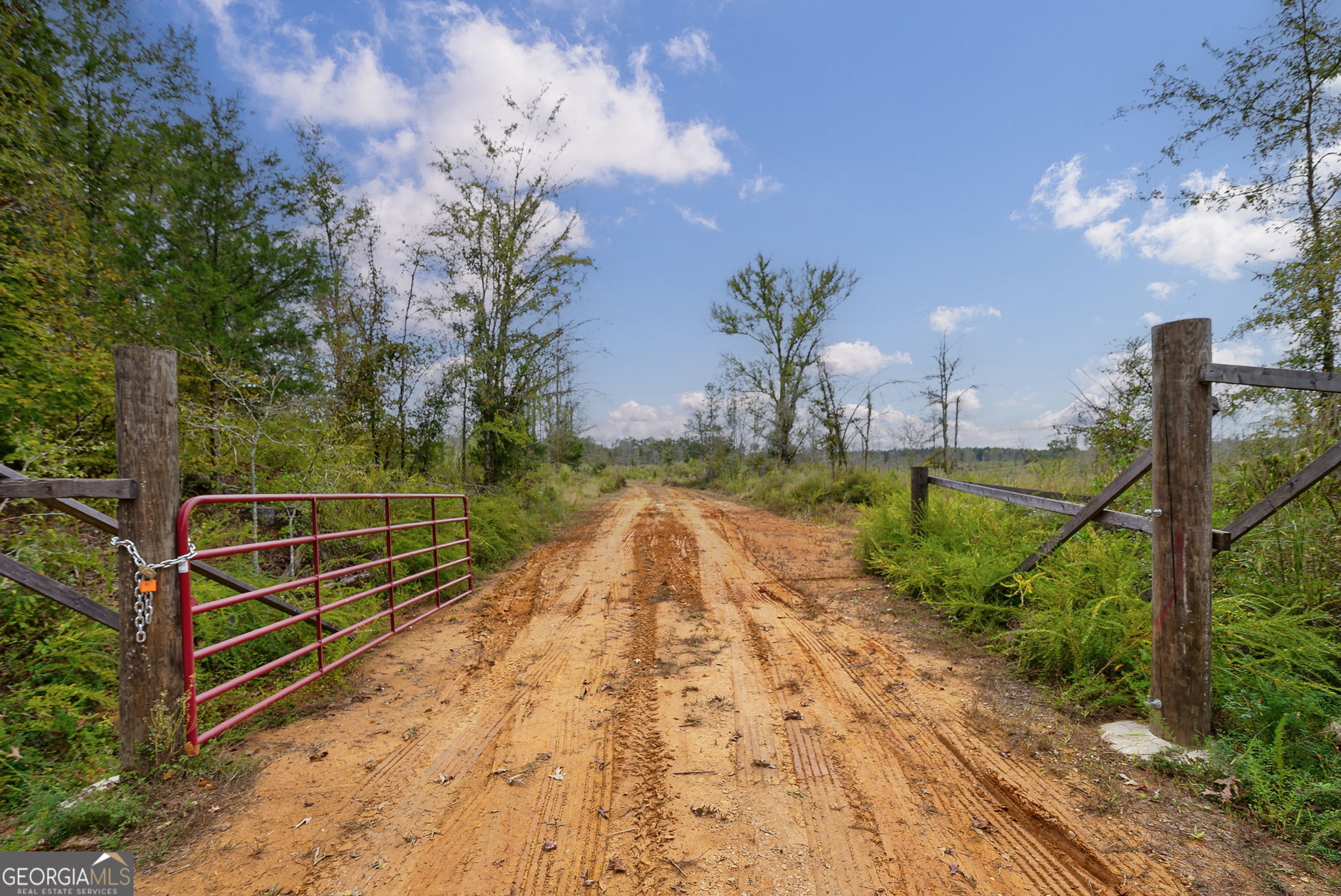 1 New Hope Vesta Road Carlton, GA 30627 - Photo 4 of 36 a view of a pathway with a yard