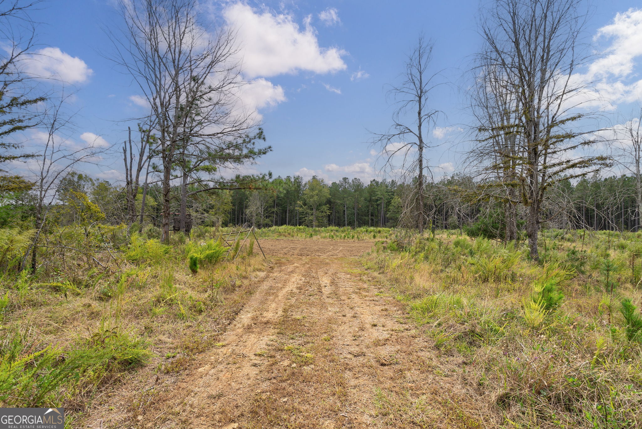 1 New Hope Vesta Road Carlton, GA 30627 - Photo 5 of 36 a view of a yard