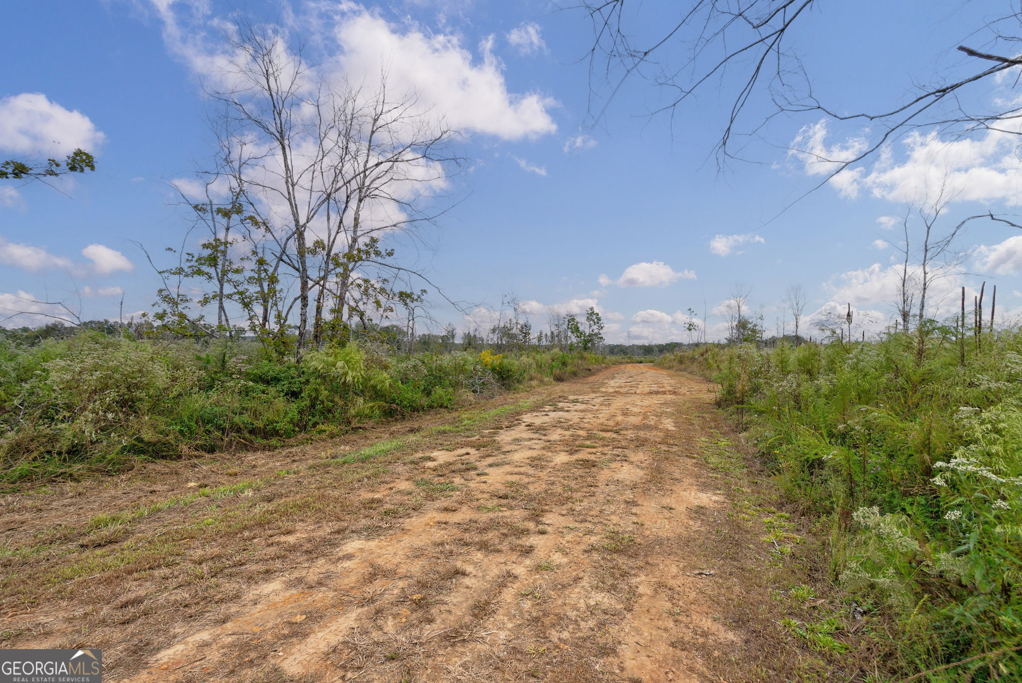 1 New Hope Vesta Road Carlton, GA 30627 - Photo 6 of 36 a view of a yard with a tree