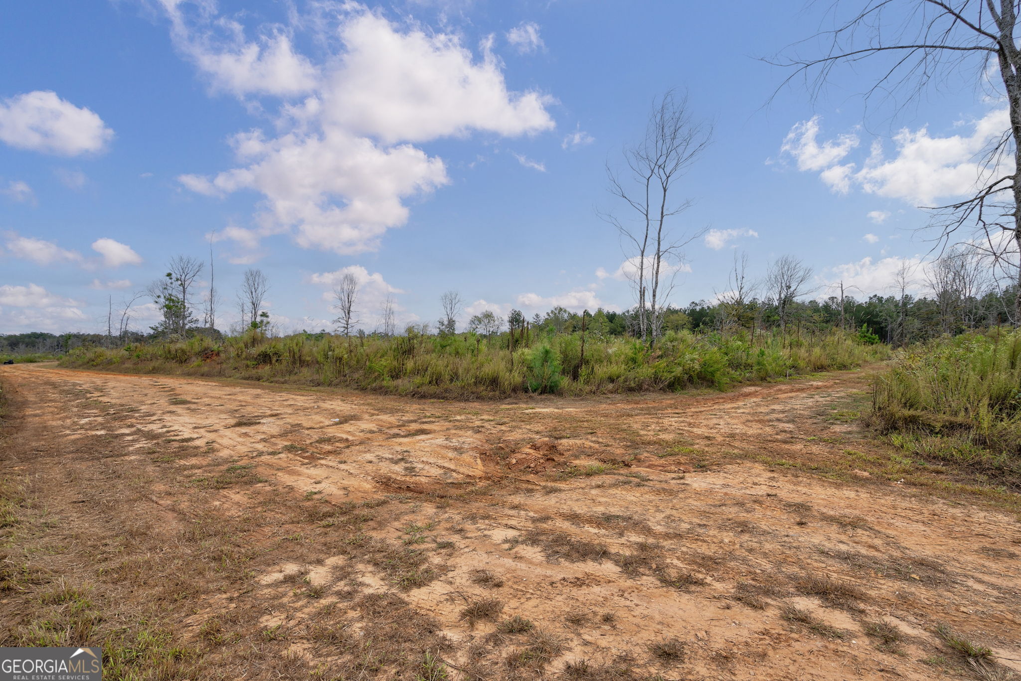 1 New Hope Vesta Road Carlton, GA 30627 - Photo 7 of 36 a view of a big yard with plants and large trees