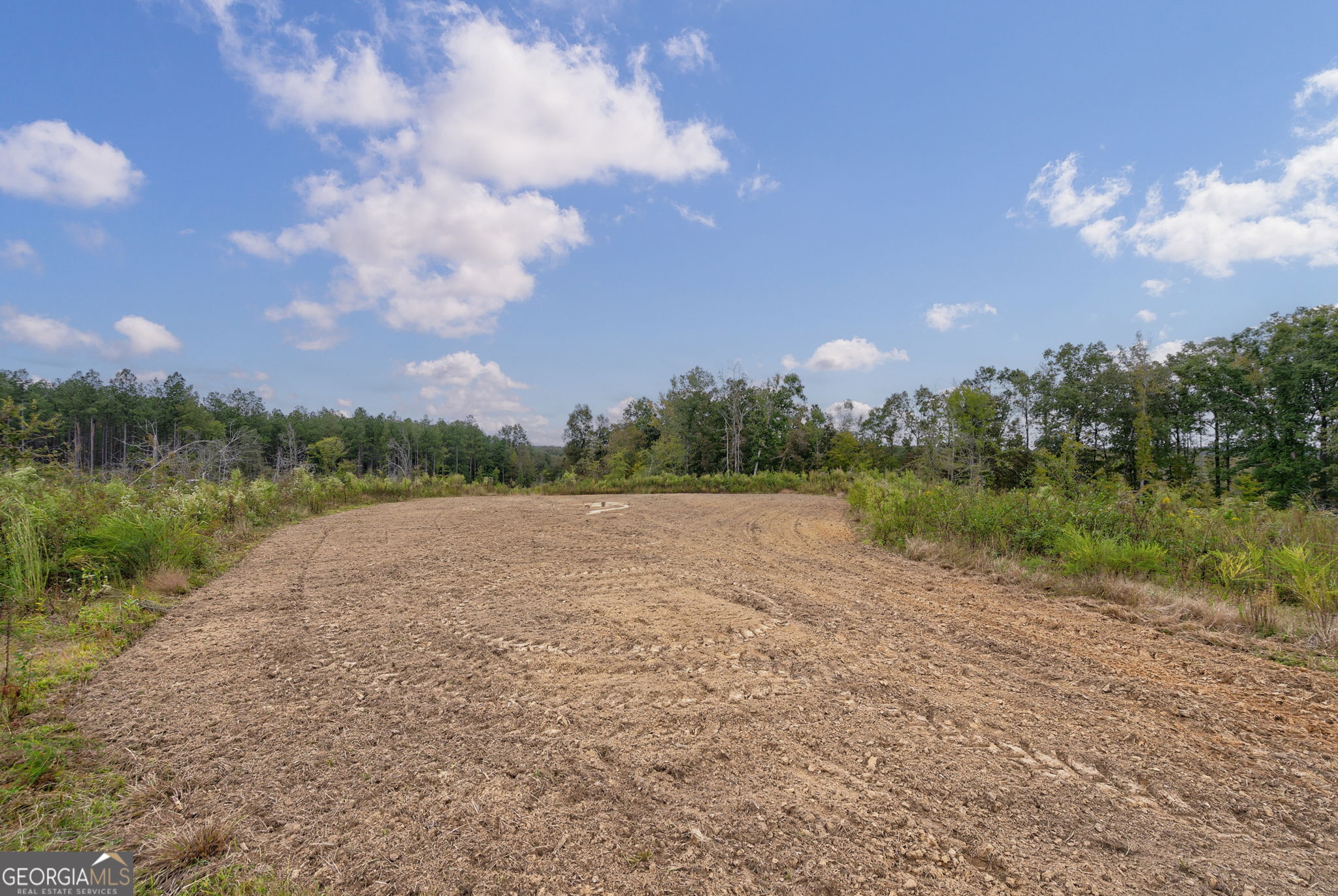 1 New Hope Vesta Road Carlton, GA 30627 - Photo 8 of 36 a view of a lake and green space