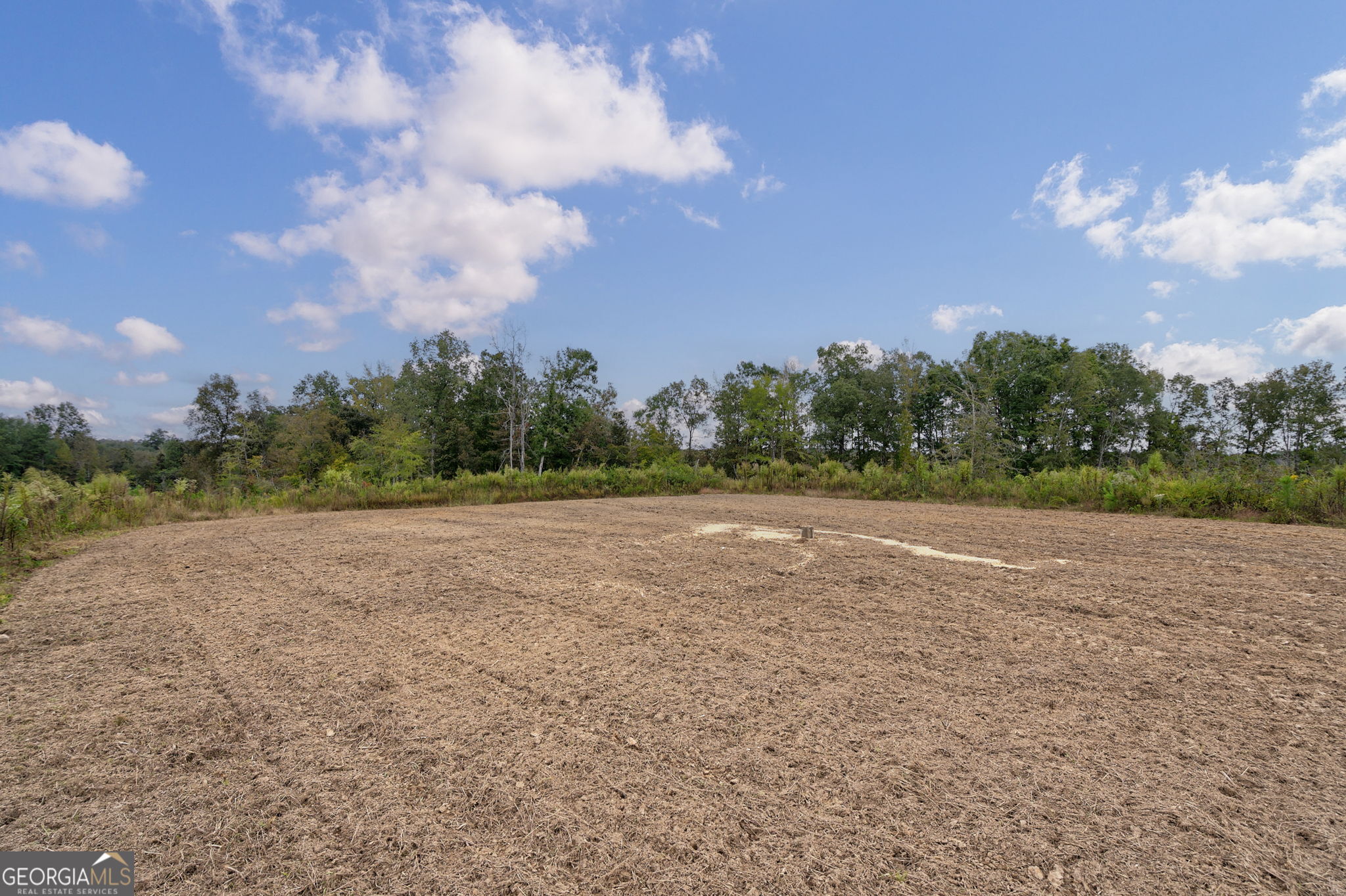 1 New Hope Vesta Road Carlton, GA 30627 - Photo 9 of 36 a view of an outdoor space and a yard