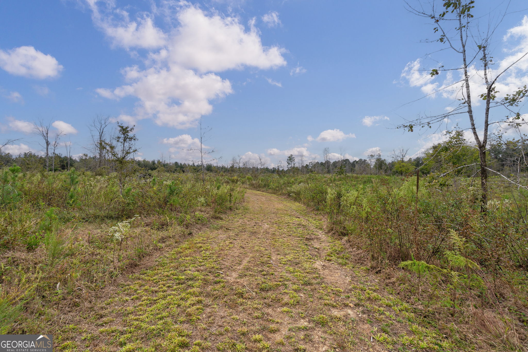 1 New Hope Vesta Road Carlton, GA 30627 - Photo 10 of 36 a view of a lake