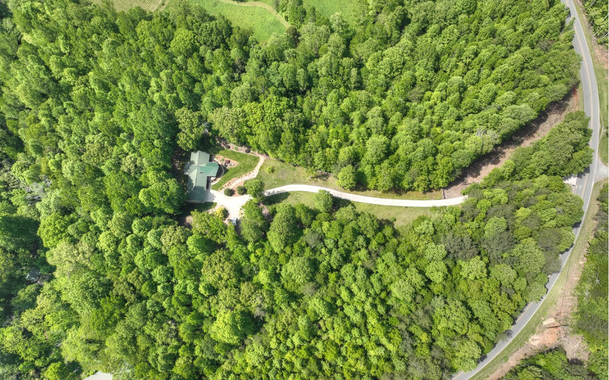 8050 Big Creek Road Ellijay, GA 30536 - Photo 15 of 74 Additional View