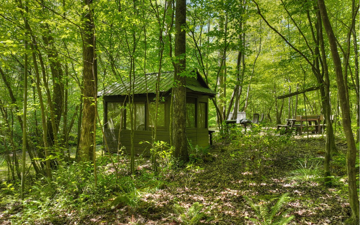 8050 Big Creek Road Ellijay, GA 30536 - Photo 23 of 74 Additional View