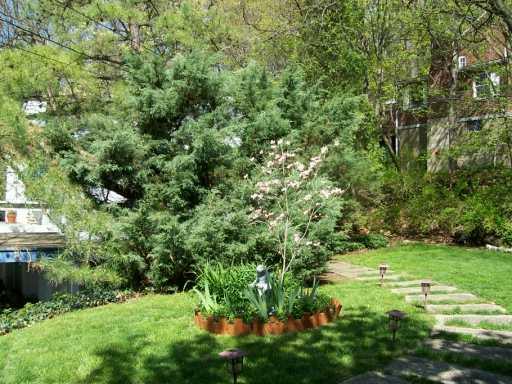 199 Rockingham Road Pittsburgh, PA 15238 - Photo 3 of 8 Yard/Garden.