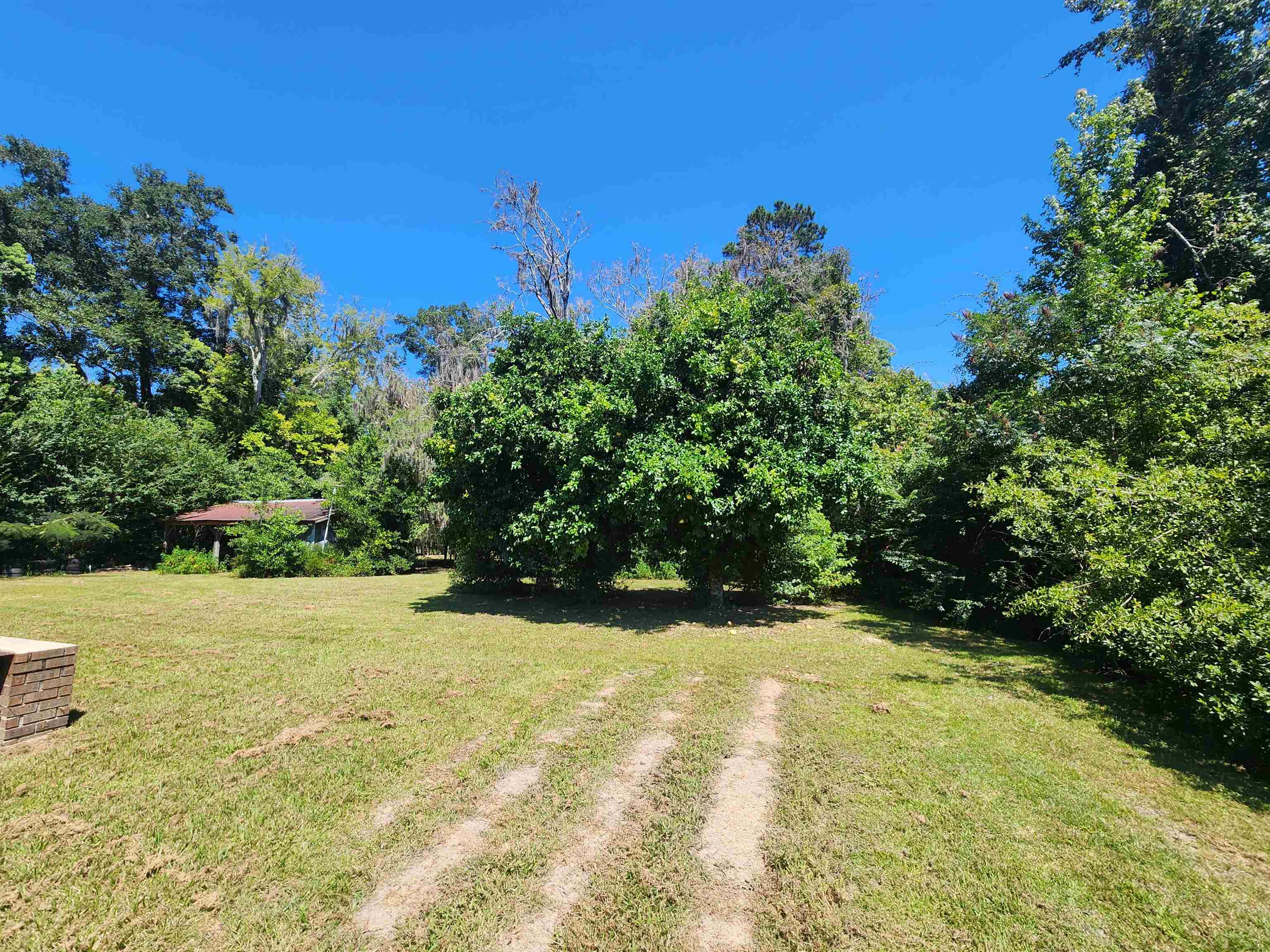 13352 County Road 12 Bristol, FL 32321 - Photo 6 of 19