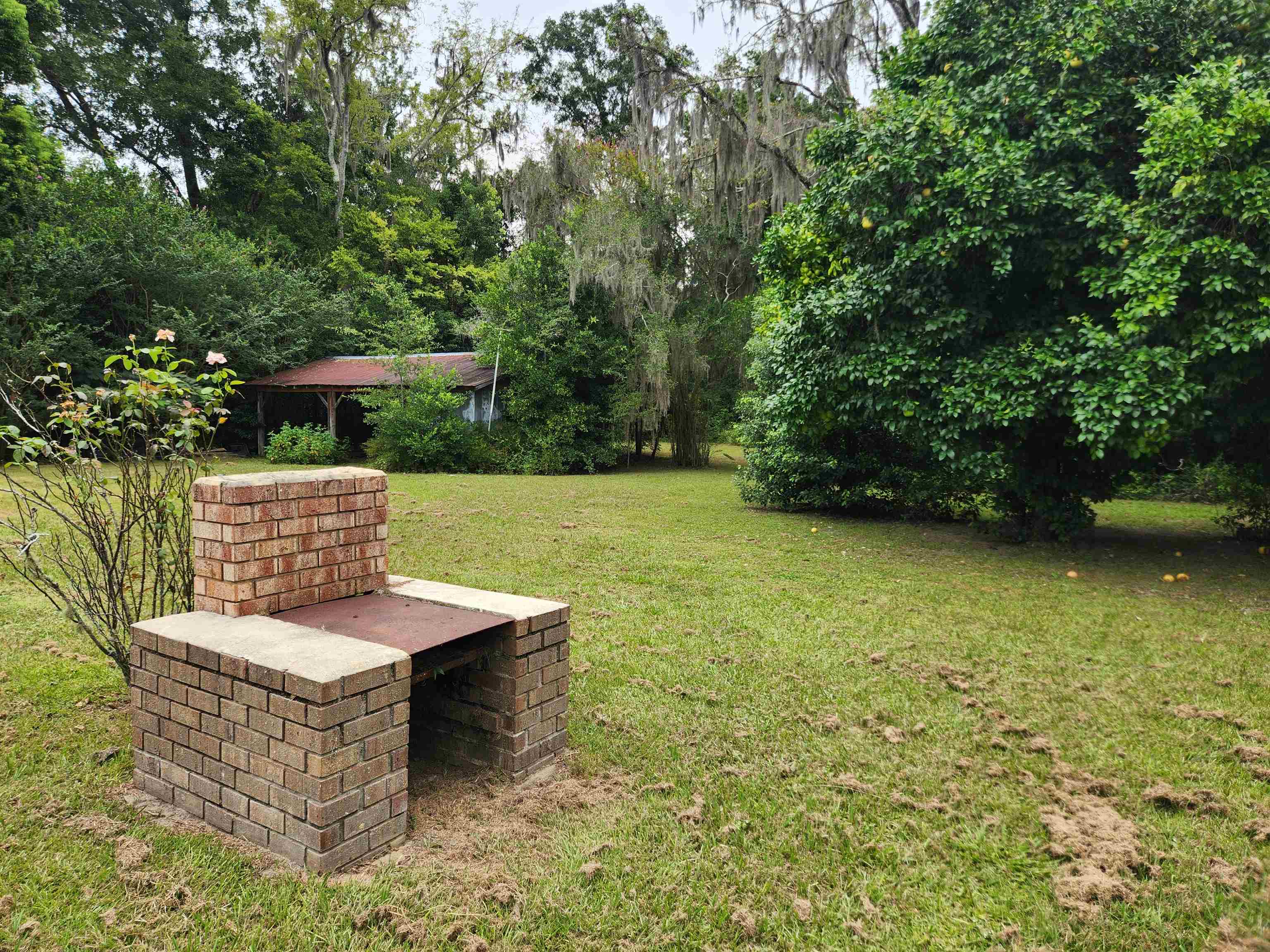 13352 County Road 12 Bristol, FL 32321 - Photo 8 of 19