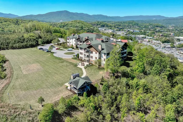 a view of a lush green hillside and a houses