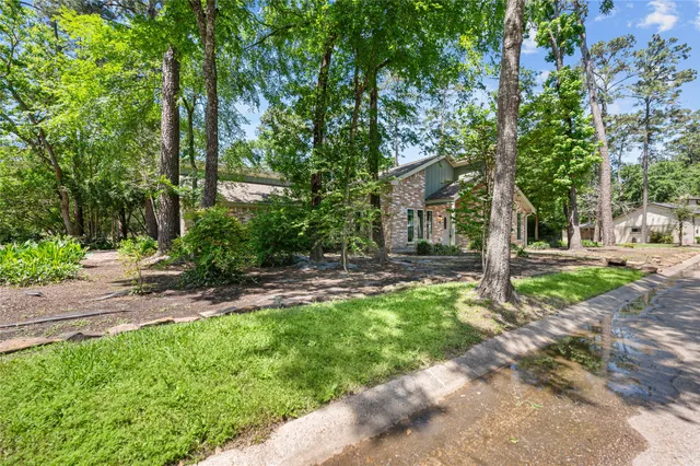 a view of a yard with plants and large trees