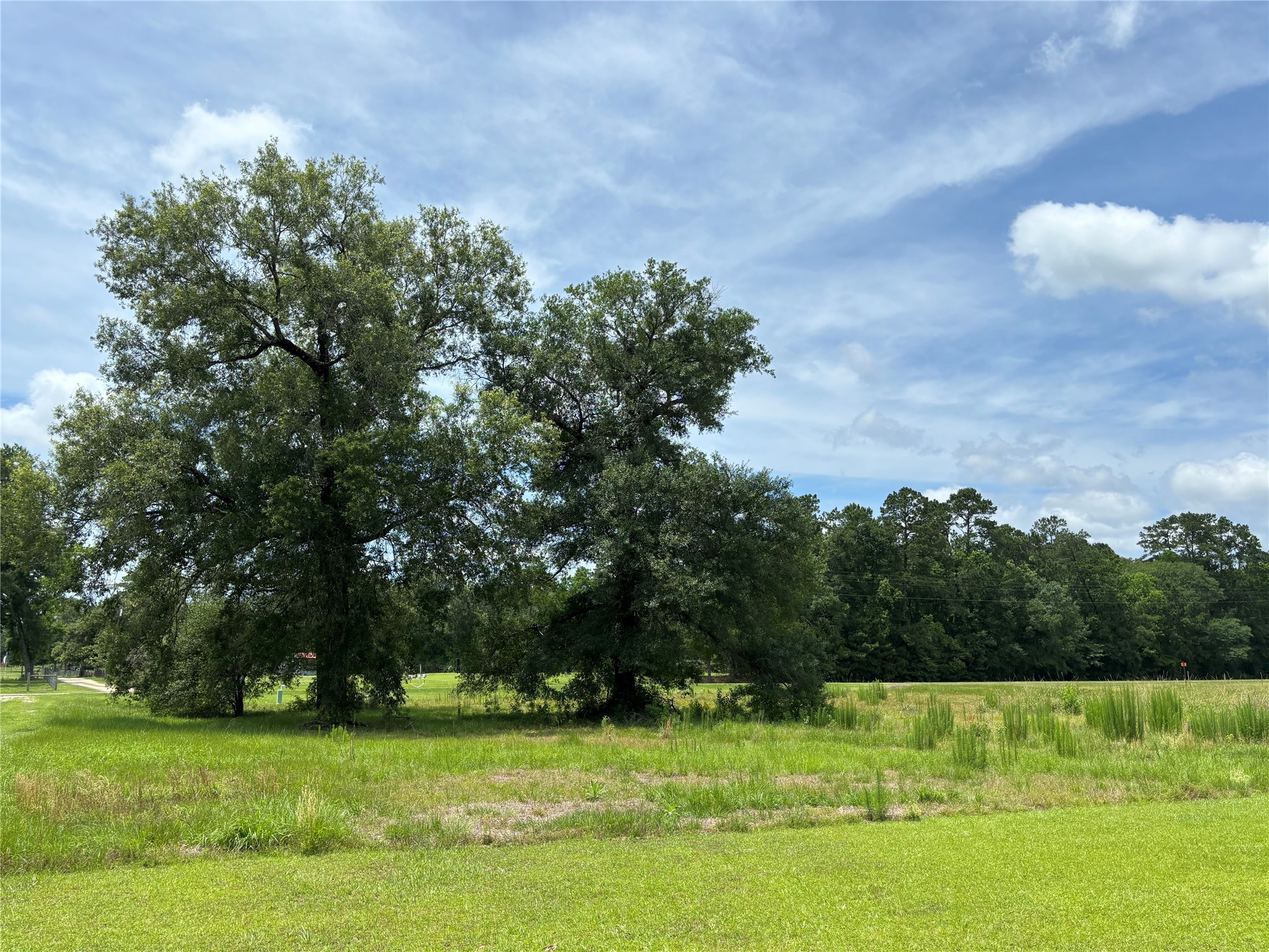 35599 State Highway South Buna, TX 77612 - Photo 8 of 40 a view of a golf course with a lake