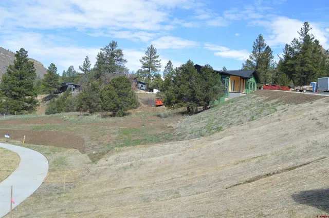 a view of a yard with large trees