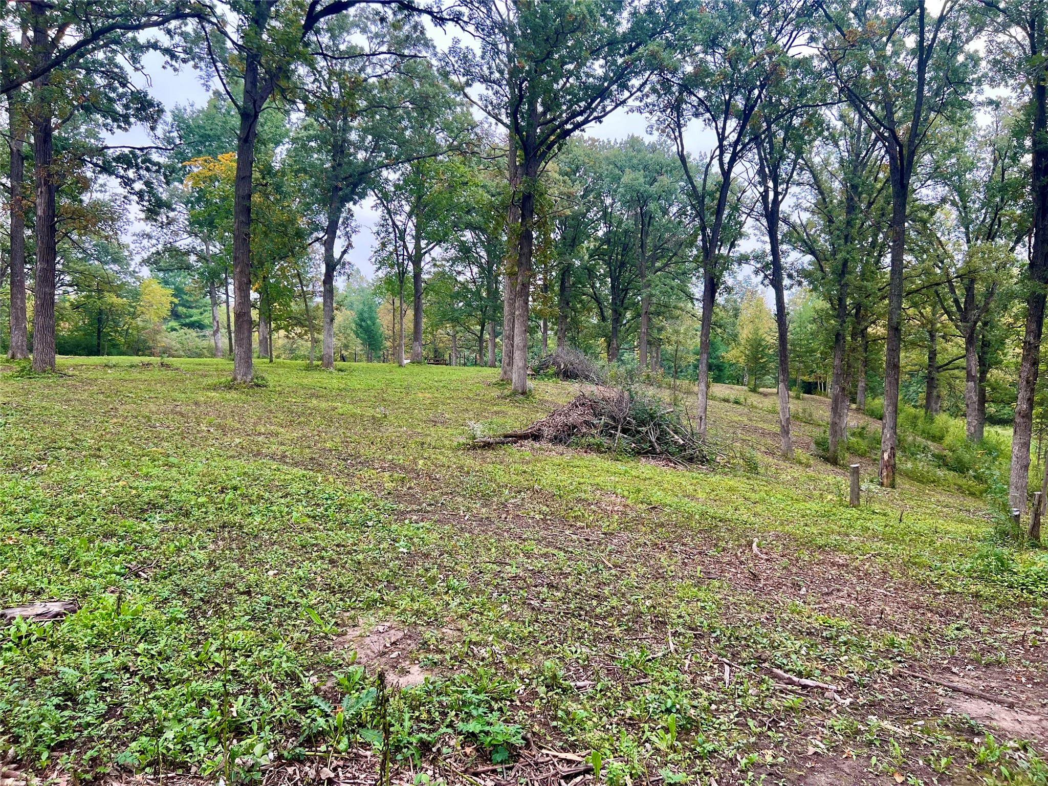 Lot 28 21st Street Rice Lake, WI 54868 - Photo 20 of 40