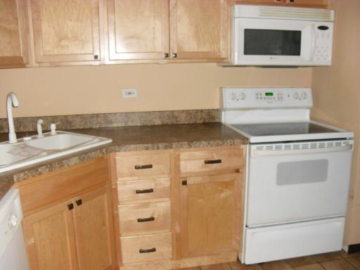 1125 Pleasant Run Drive, Unit 806 Wheeling, IL 60090 - Photo 2 of 6