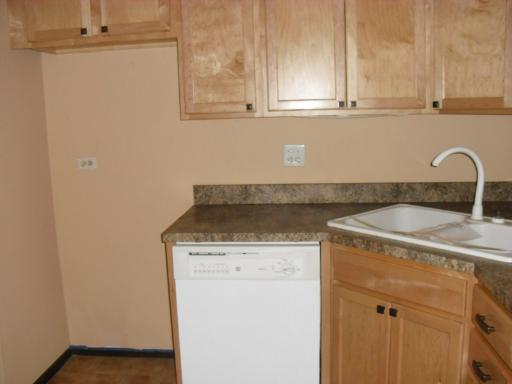 1125 Pleasant Run Drive, Unit 806 Wheeling, IL 60090 - Photo 4 of 6