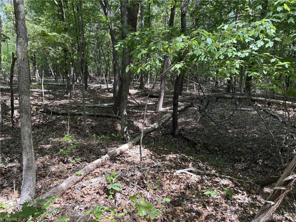 0 Price Grange Road Stoneville, NC 27048 - Photo 11 of 21