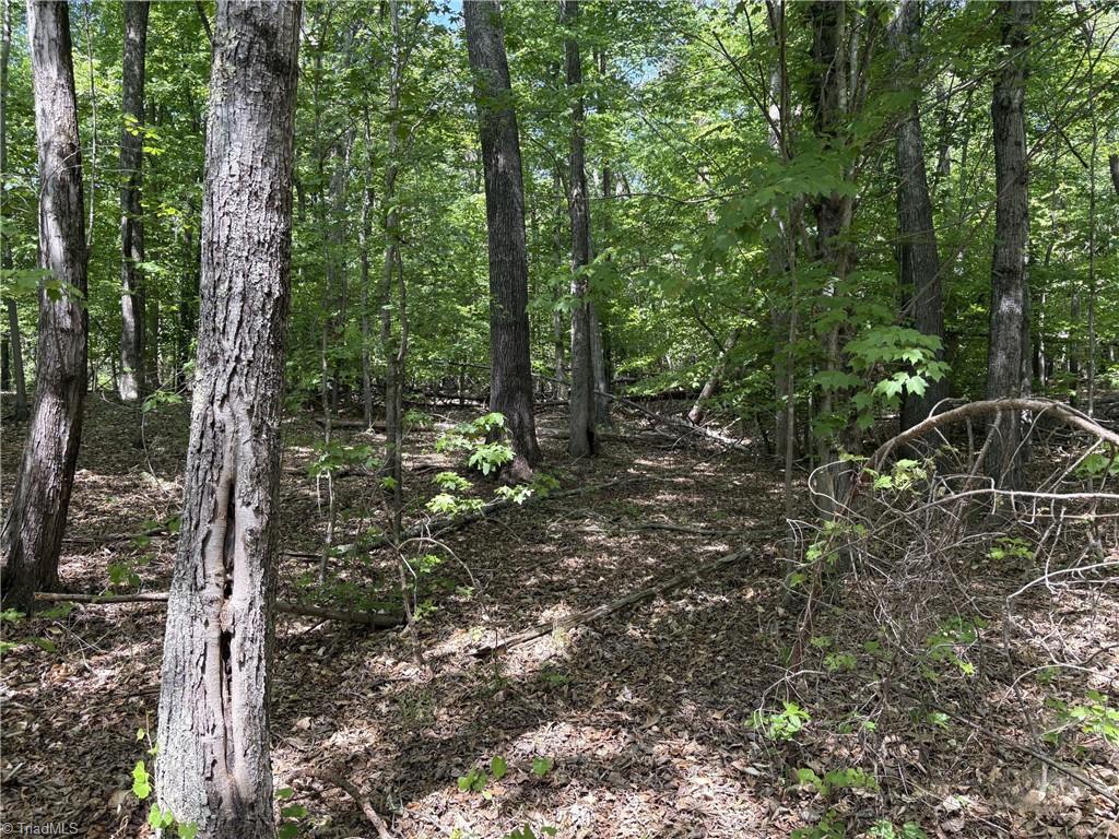 0 Price Grange Road Stoneville, NC 27048 - Photo 14 of 21