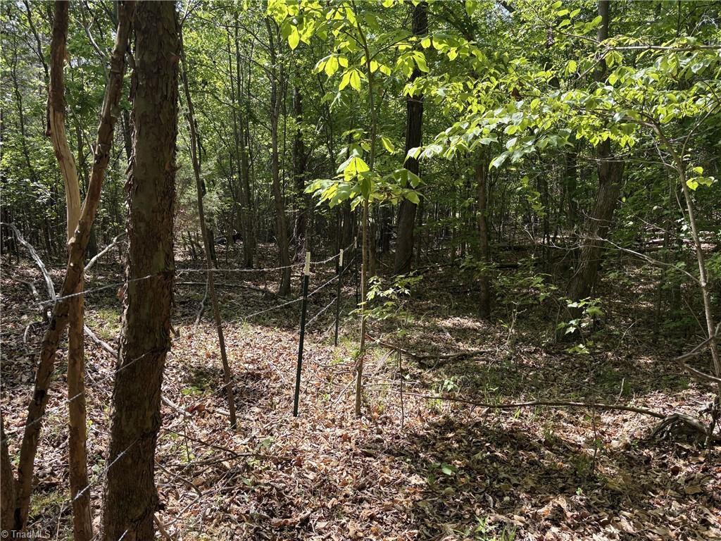 0 Price Grange Road Stoneville, NC 27048 - Photo 15 of 21
