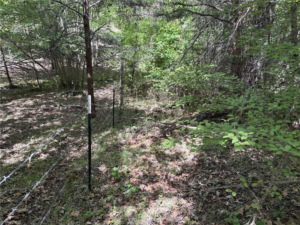 0 Price Grange Road Stoneville, NC 27048 - Photo 17 of 21
