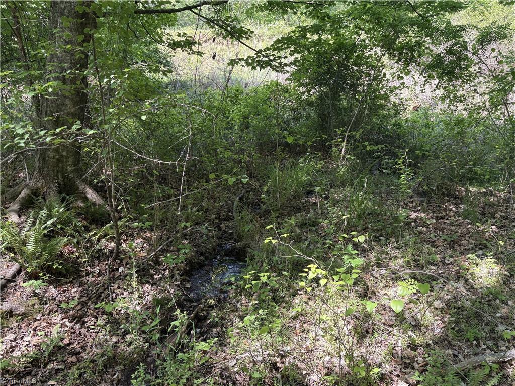 0 Price Grange Road Stoneville, NC 27048 - Photo 19 of 21