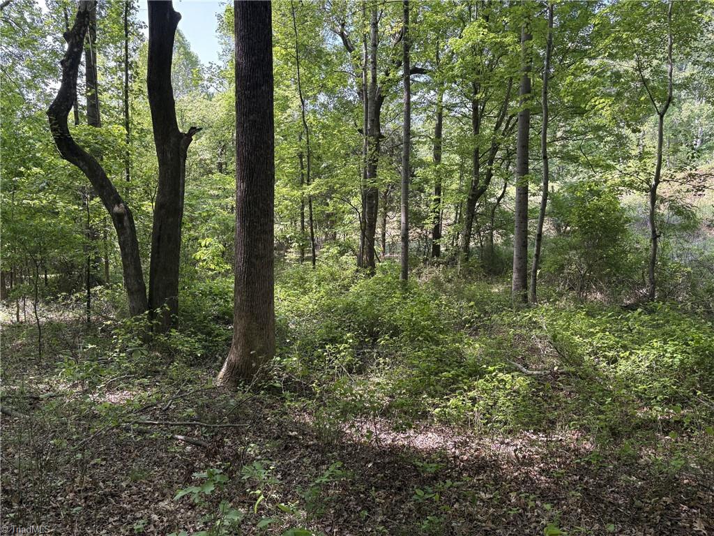 0 Price Grange Road Stoneville, NC 27048 - Photo 6 of 21