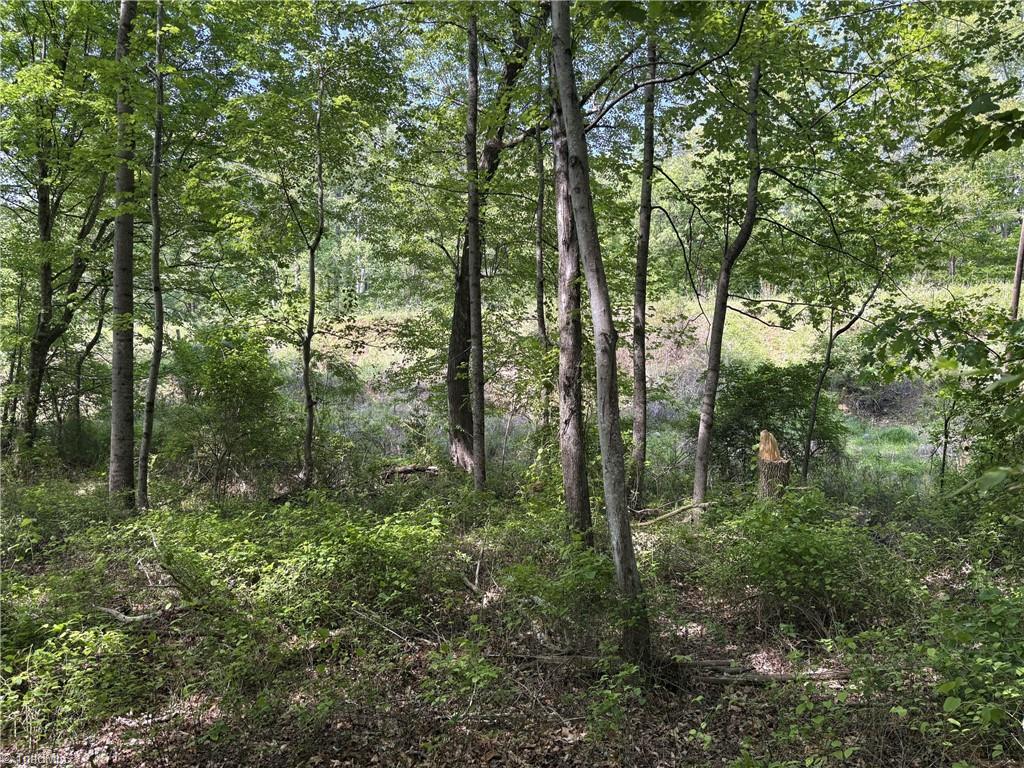 0 Price Grange Road Stoneville, NC 27048 - Photo 7 of 21