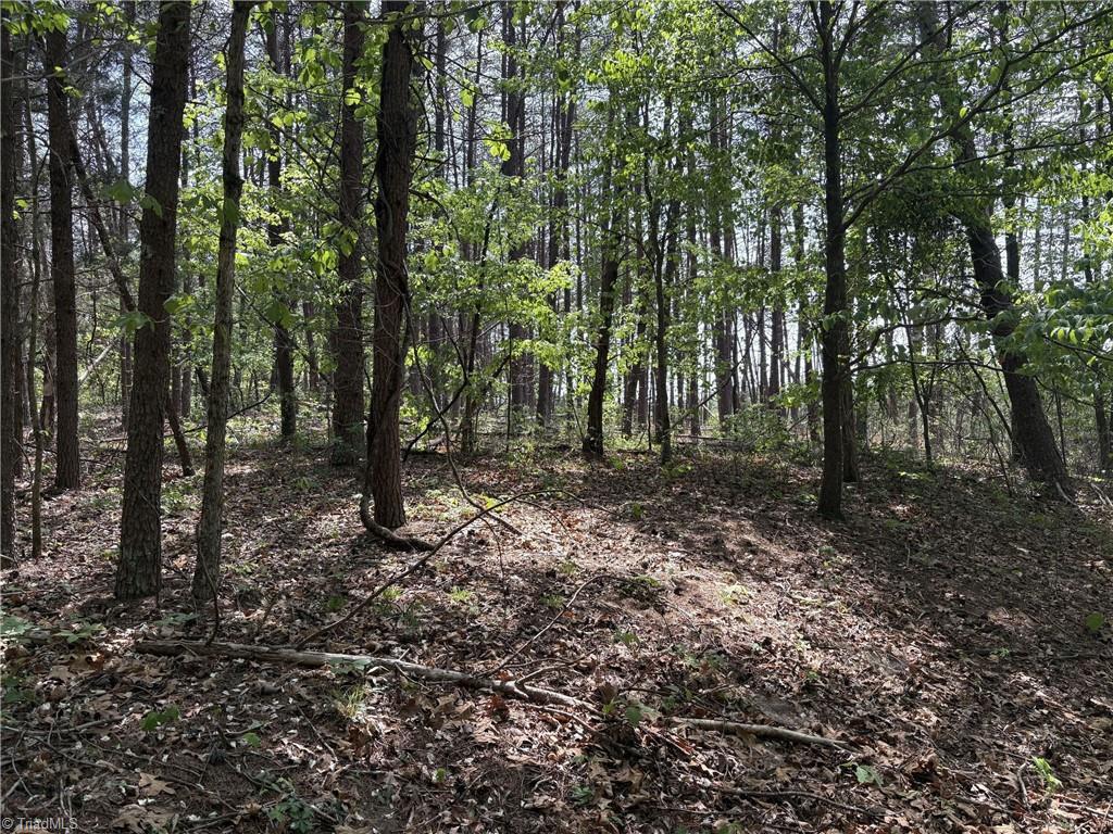 0 Price Grange Road Stoneville, NC 27048 - Photo 8 of 21