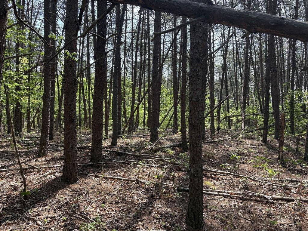 0 Price Grange Road Stoneville, NC 27048 - Photo 9 of 21