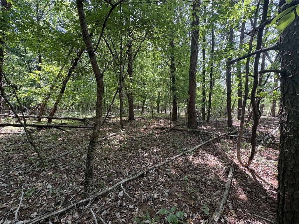 0 Price Grange Road Stoneville, NC 27048 - Photo 10 of 21