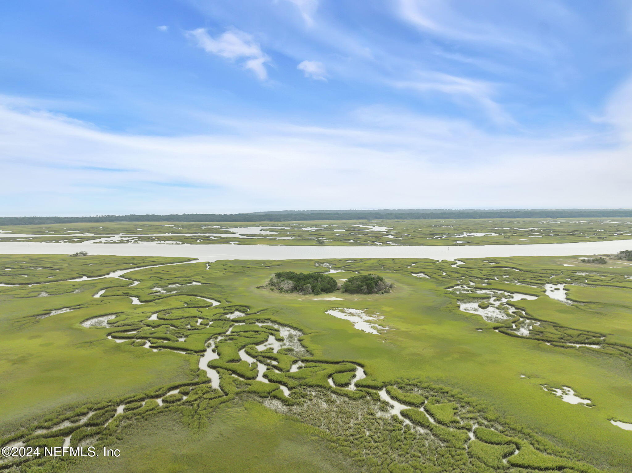 13033 Sawpit Road Jacksonville, FL 32226 - Photo 58 of 63 Marsh Views