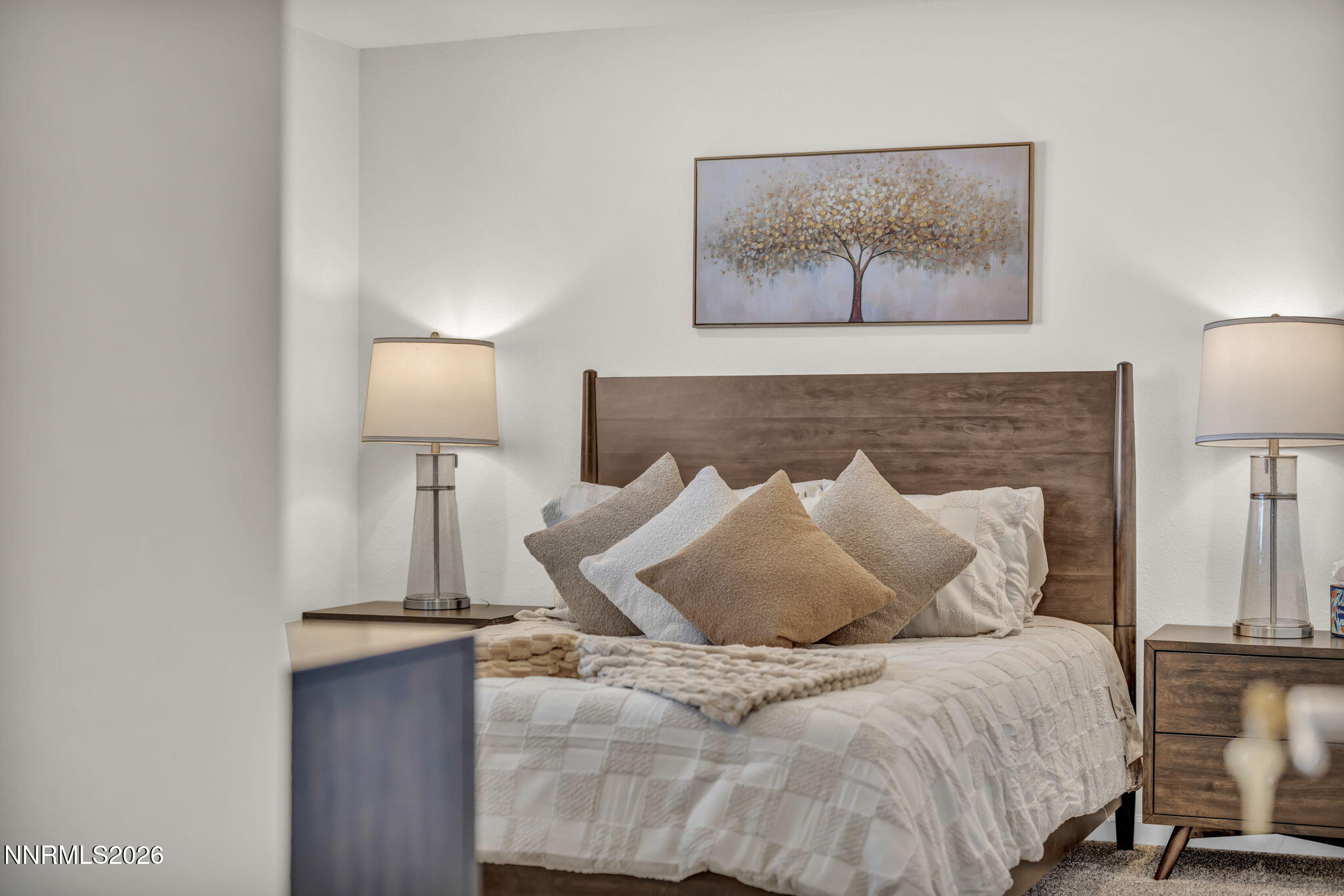 13785 Kewanna Trail Reno, NV 89521 - Photo 42 of 79 53c