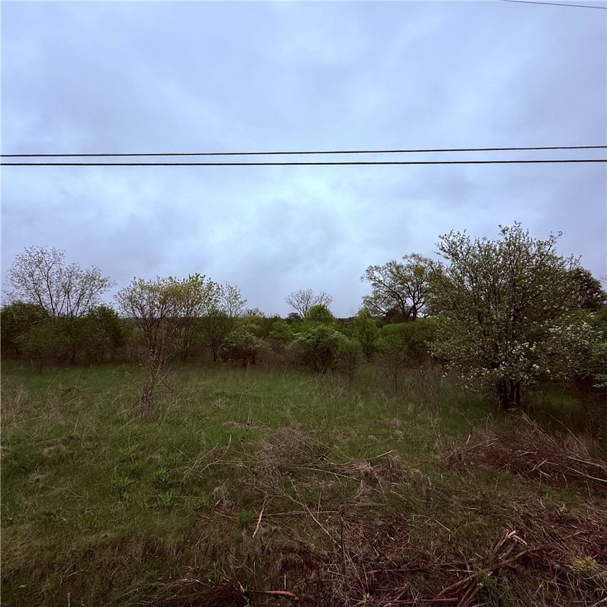 0 Reeds Corners Road Dansville, NY 14437 - Photo 5 of 13