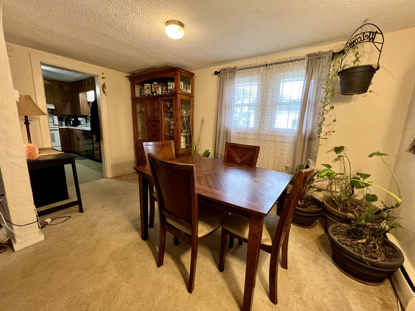 302 Dickson Street Sidell, IL 61876 - Photo 8 of 37 Gallery Image 8