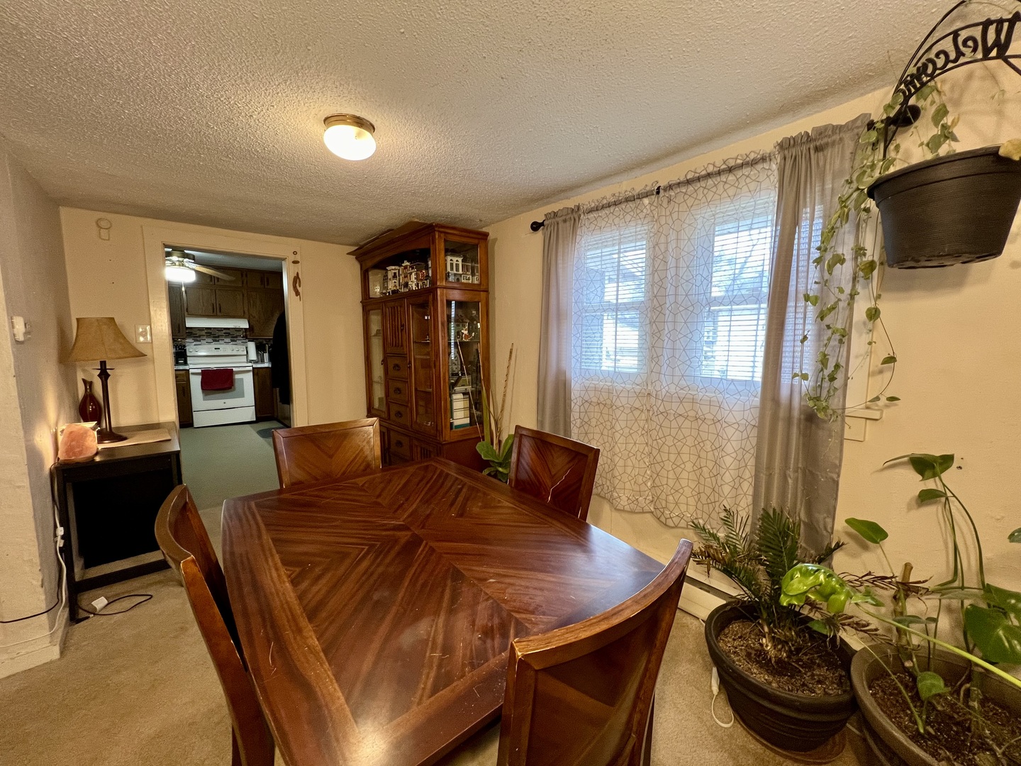 302 Dickson Street Sidell, IL 61876 - Photo 9 of 37 Gallery Image 9
