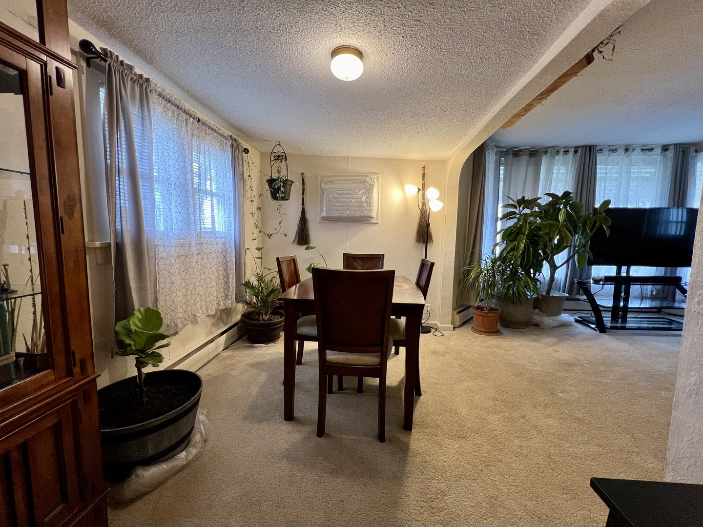 302 Dickson Street Sidell, IL 61876 - Photo 10 of 37 Gallery Image 10