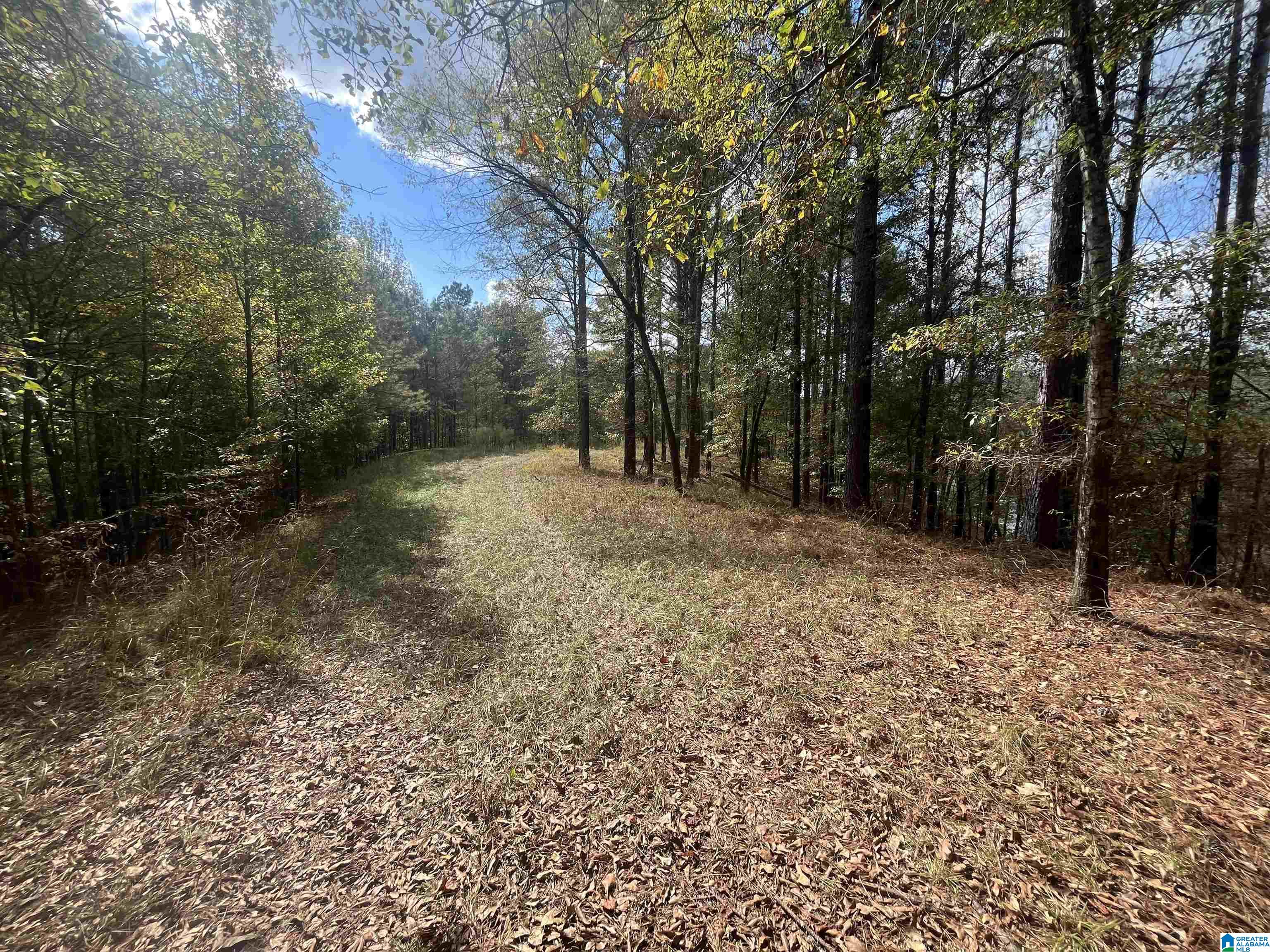 Eagle Port Road, Unit 7&8 Quinton, AL 35130 - Photo 5 of 12