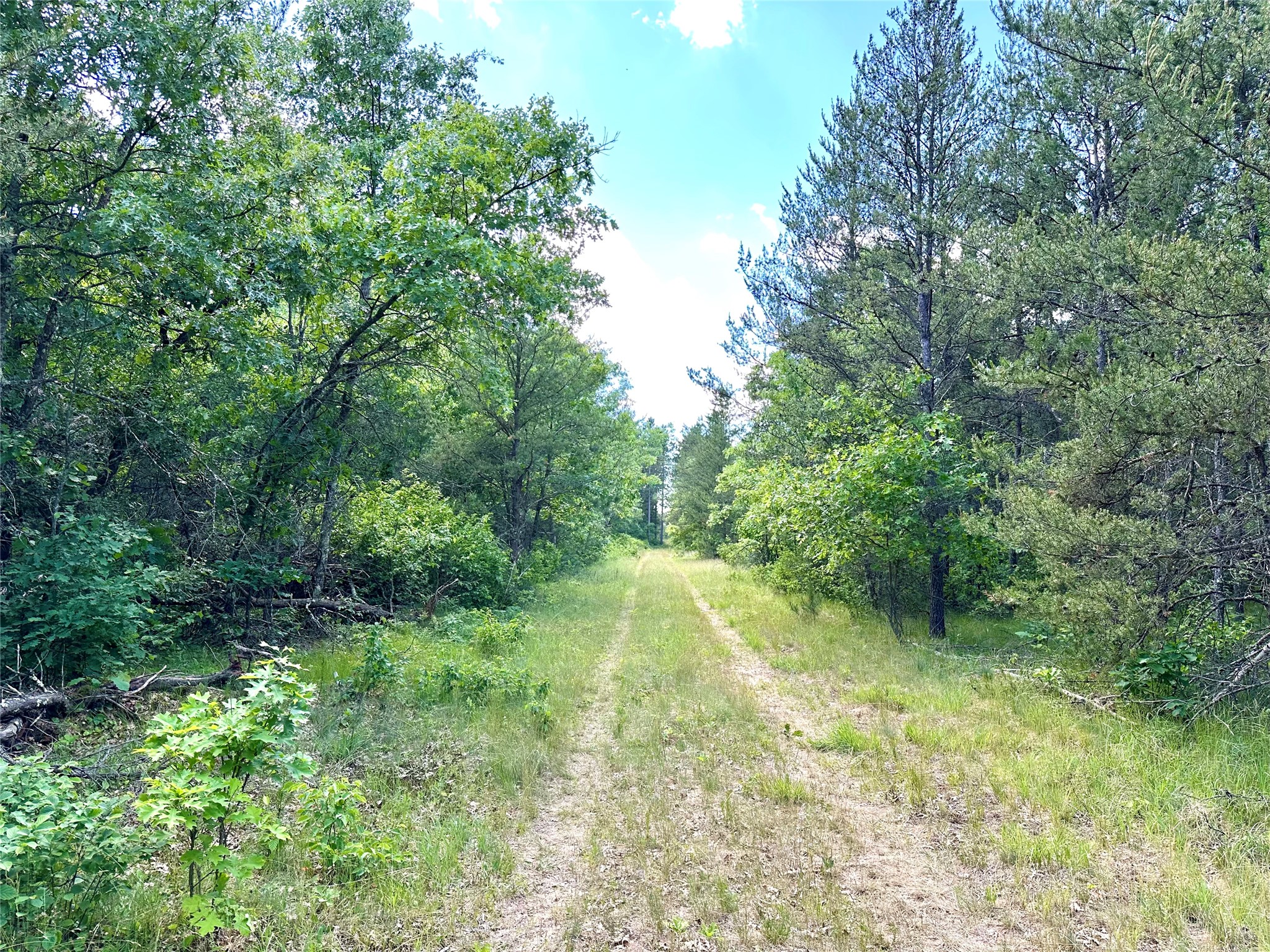 E20244 Cty Road Augusta, WI 54722 - Photo 6 of 27