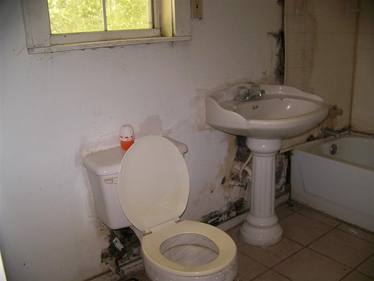1240 Old Lloyd Road Monticello, FL 32344 - Photo 3 of 7 Gallery Image 3