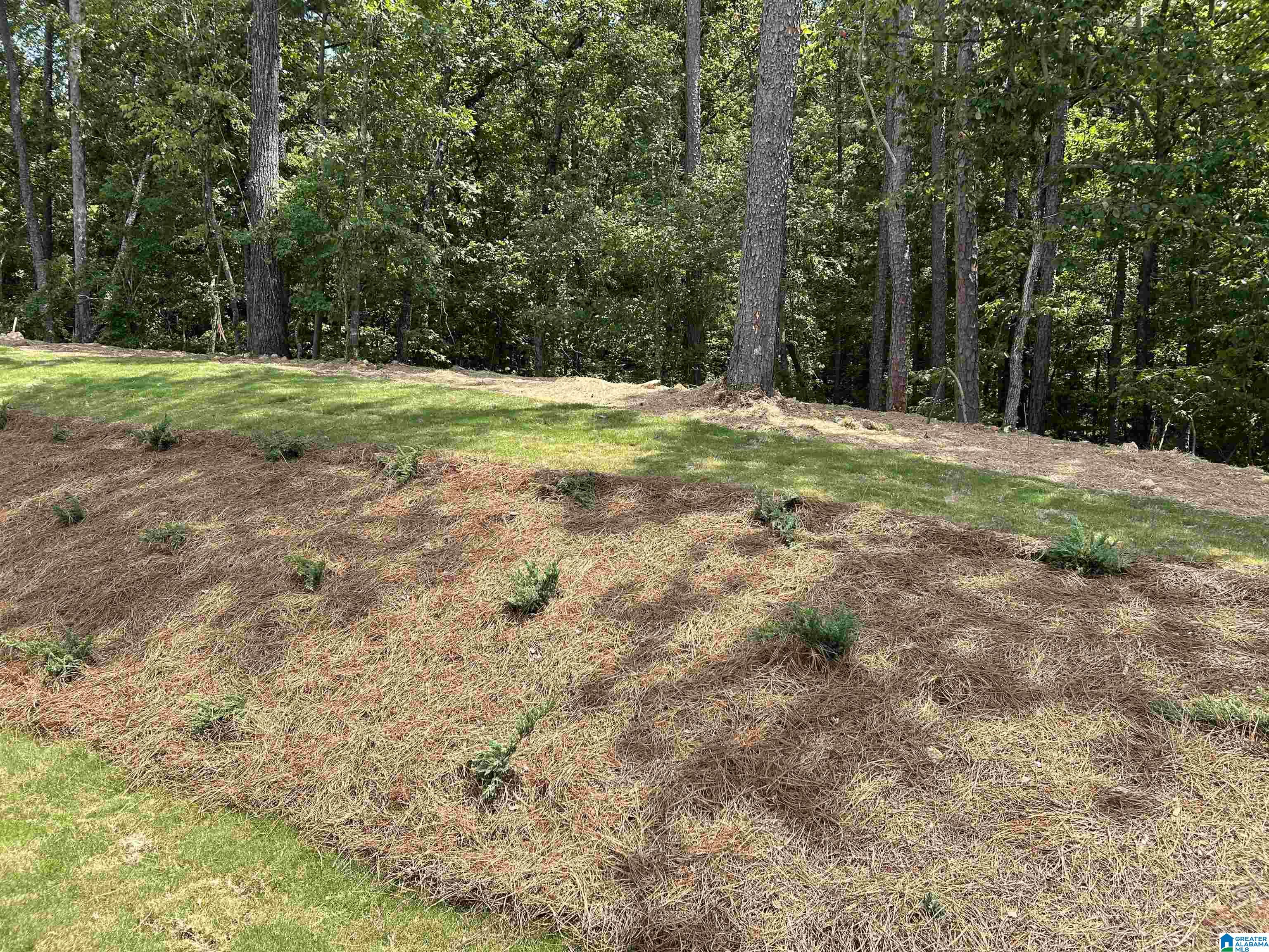 308 Cedar Grove Parkway Alabaster, AL 35007 - Photo 8 of 32