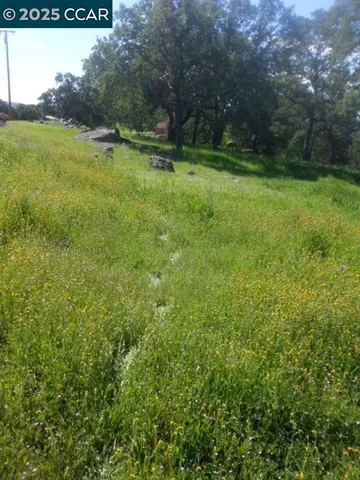 a view of outdoor space with deck and yard