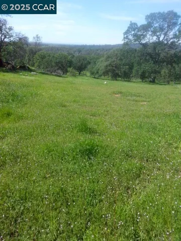 a view of field with lots of trees