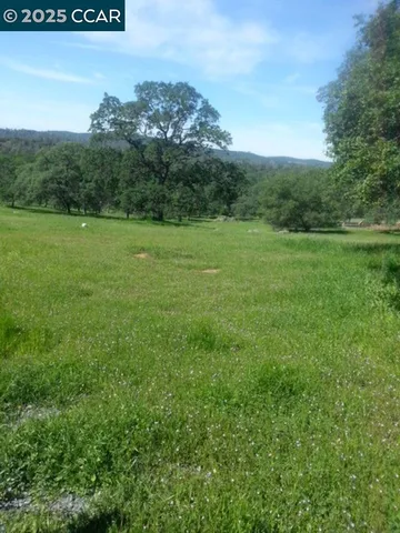 a view of a field with an trees