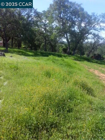 a view of a grassy field with trees
