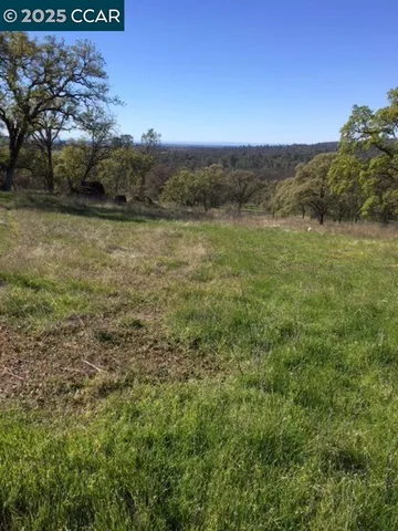 a view of a field with an ocean and trees
