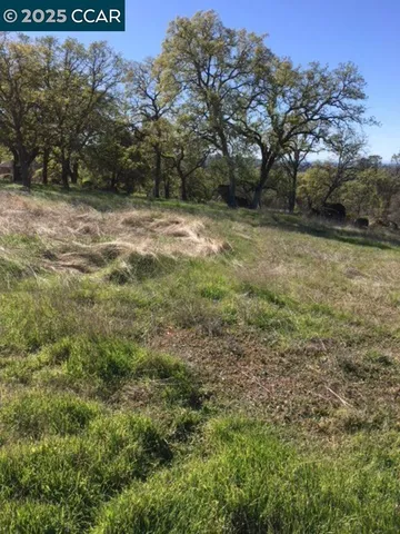 a view of a field with an trees